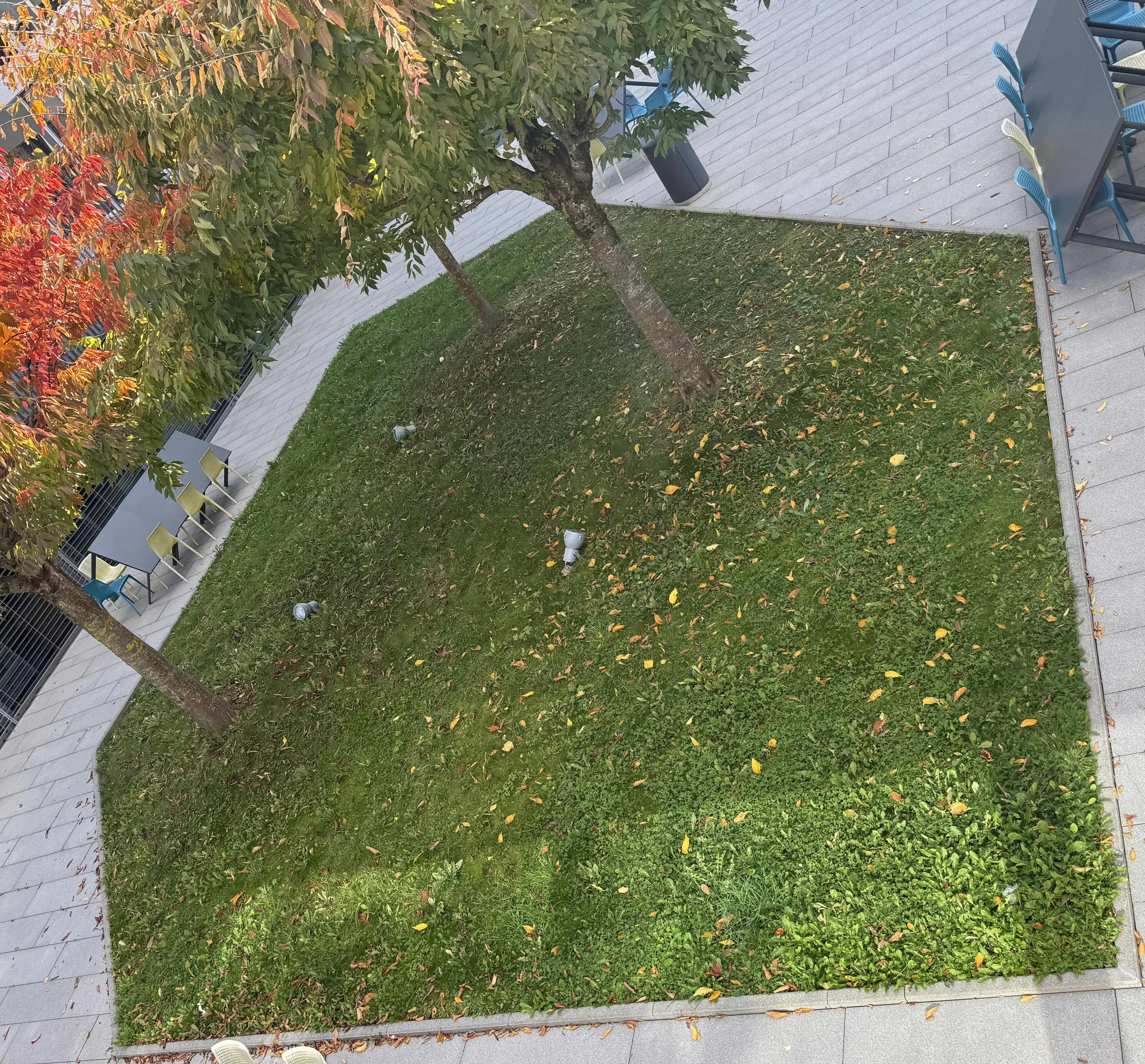 Soilution Lab at ISL